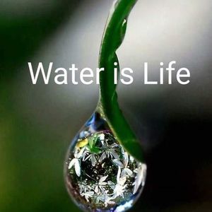 Meet your Posher, Joan